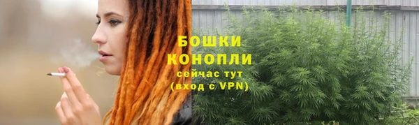 молекула духа Семёнов