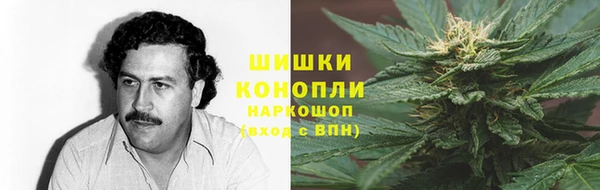 молекула духа Семёнов