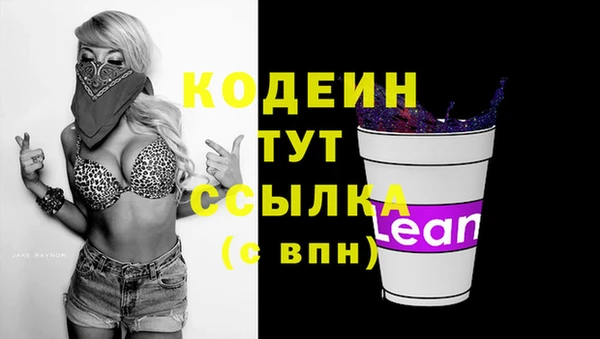 молекула духа Семёнов