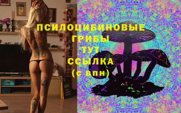 молекула духа Семёнов