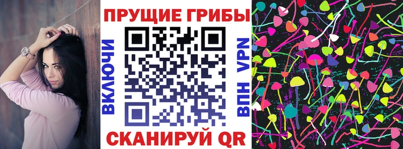 где купить наркоту  Ульяновск  Псилоцибиновые грибы Cubensis 